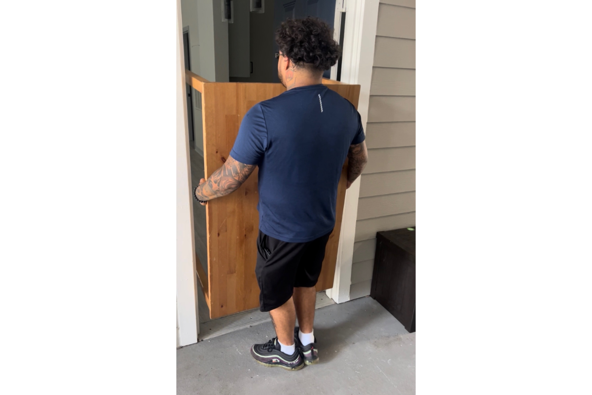Moving job photo 3